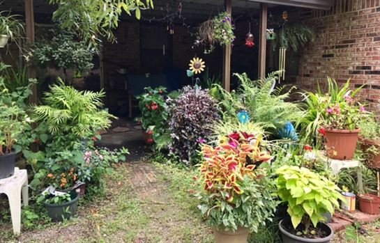 Myra Jane Taylor Hutto - Photo 48