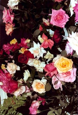 Jo Ann "Jodie" Christian-Davis - Photo 65