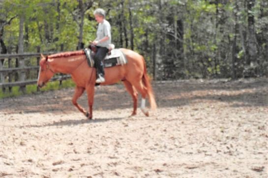 Betty June Chatagnier - Photo 35