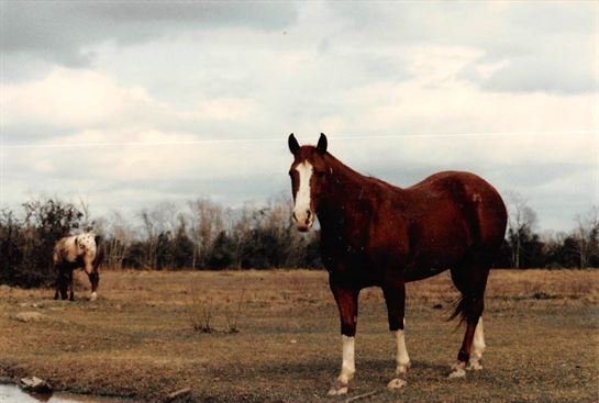 Betty June Chatagnier - Photo 47