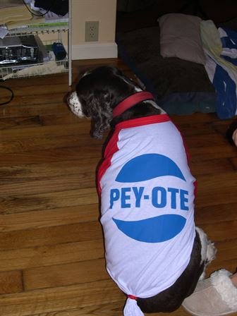 Donna Lynn Wilson - Photo 11