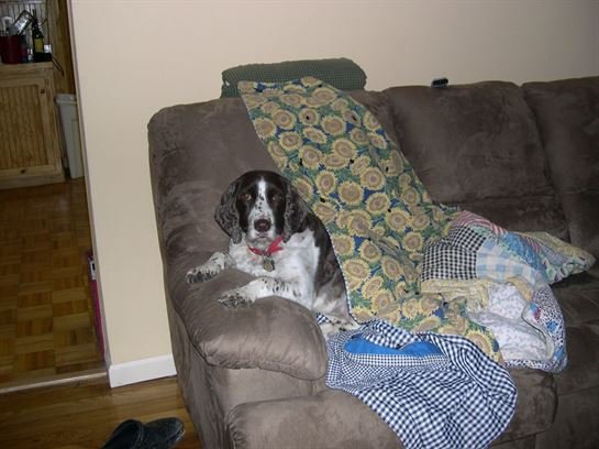 Donna Lynn Wilson - Photo 68