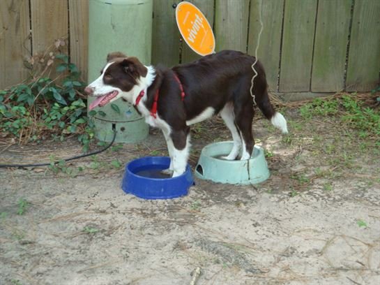 Donna Lynn Wilson - Photo 69