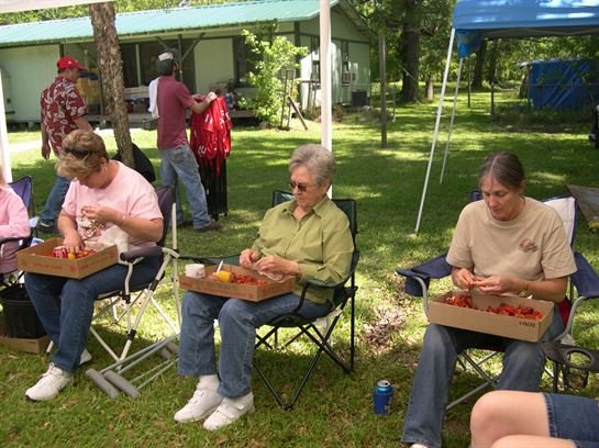 Donna Lynn Wilson - Photo 83