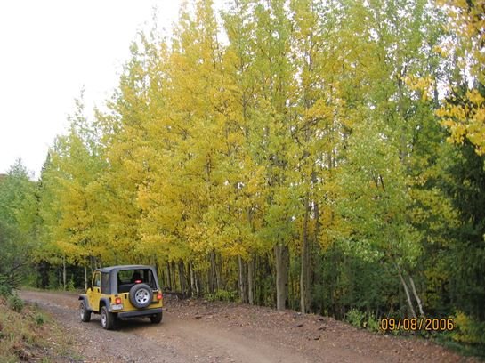 Johnie Alonzo Greene, Jr. - Photo 36