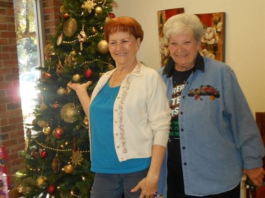 Annie Laura Dixon - Photo 23