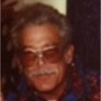 David Arden Theise - Photo 2