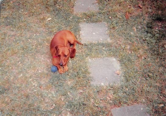 Debbie Bryant - Photo 6