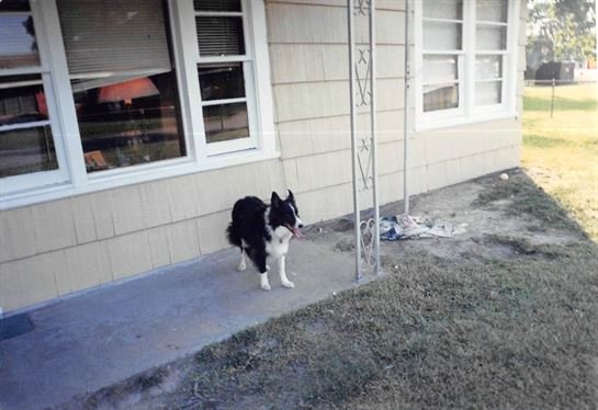 Debbie Bryant - Photo 22