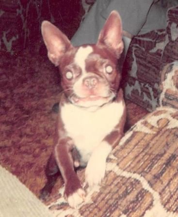 Jean Wayman - Photo 67