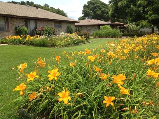 Lou Ellen Pike Cude - Photo 6