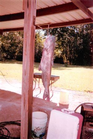 Jerry T. Hughes - Photo 53