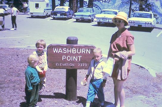 Marilyn Anne Powell - Photo 31