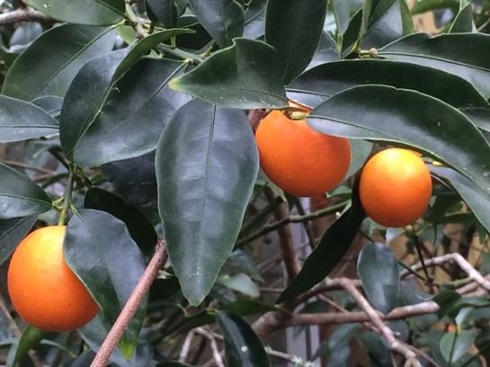 Marshall Wayne Dougharty Sr. - Photo 10