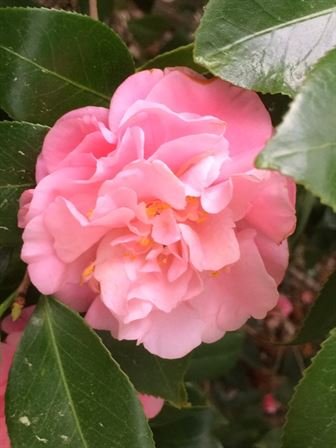 Marshall Wayne Dougharty Sr. - Photo 35