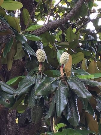 Marshall Wayne Dougharty Sr. - Photo 56