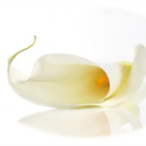 Bernice Richardson Trahan - Photo 2