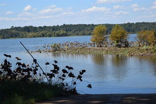 Preston Conway - Photo 54