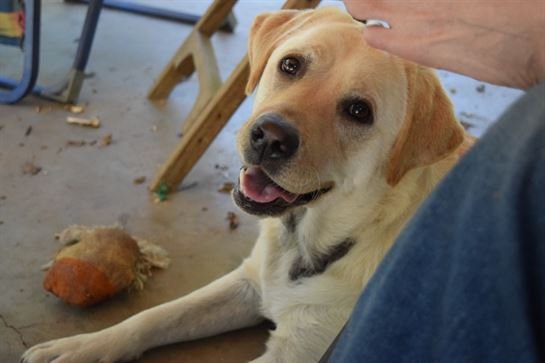 Preston Conway - Photo 92