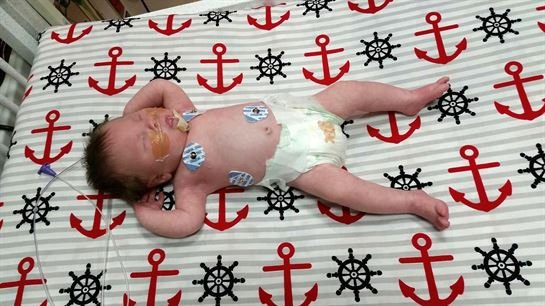 Captain Louis Gonzalez - Photo 33