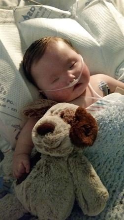 Captain Louis Gonzalez - Photo 36