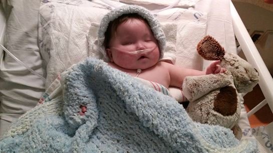 Captain Louis Gonzalez - Photo 37