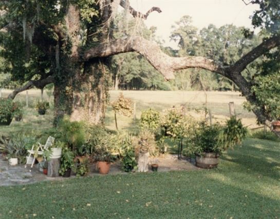 Mildred Louise Brent - Photo 111