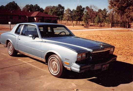 Debra Lynette Truncale - Photo 100