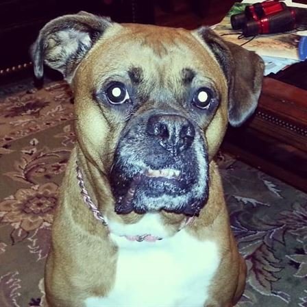 James William Rowe - Photo 14