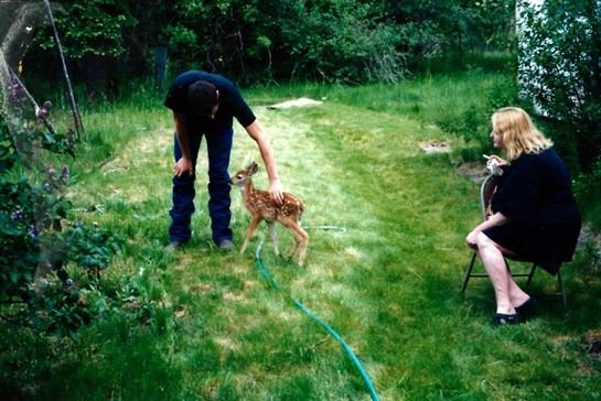 Debra Ellis - Photo 56