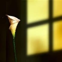 James "Jimmy" Thompson - Photo 2