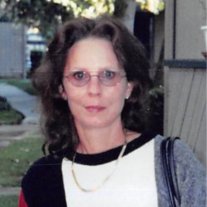 Sharron Stakes - Photo 2