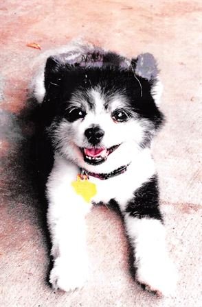 Thomas D. Wesson - Photo 22