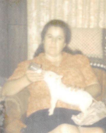 Yvonne Bornette - Photo 26