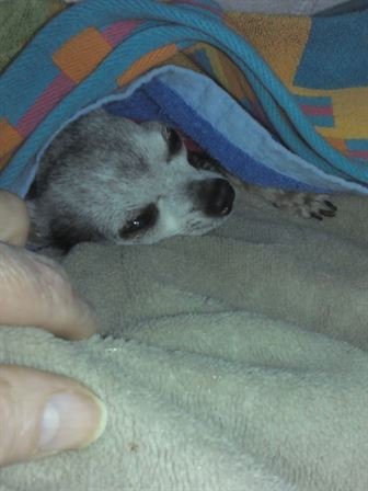 Debra Hebert - Photo 4