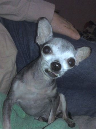 Debra Hebert - Photo 7