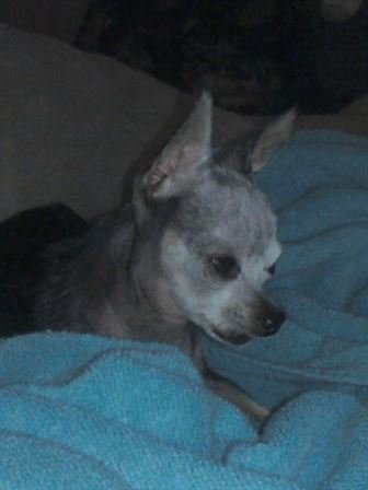 Debra Hebert — photo 8