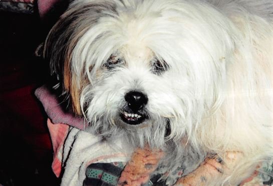 Debra Hebert - Photo 12