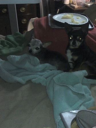 Debra Hebert - Photo 13