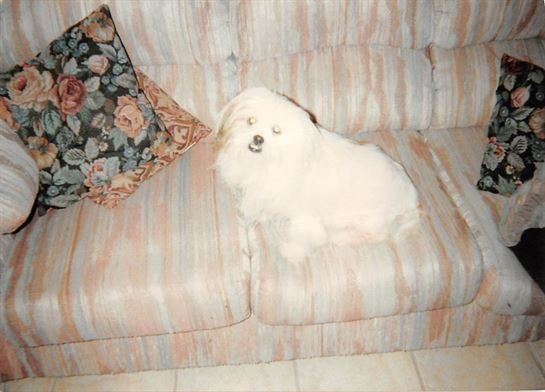 Debra Hebert — photo 15