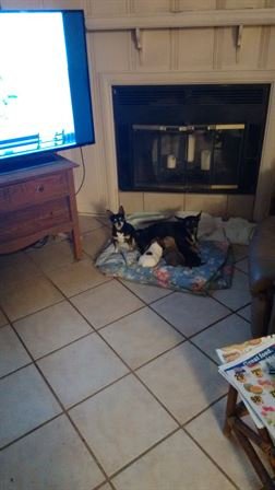 Debra Hebert — photo 18