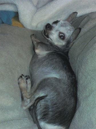 Debra Hebert - Photo 20