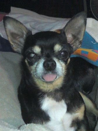 Debra Hebert — photo 23