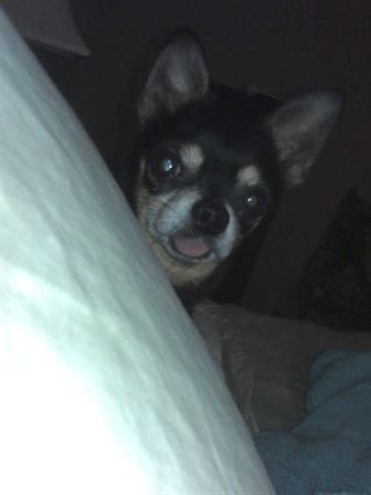 Debra Hebert - Photo 34