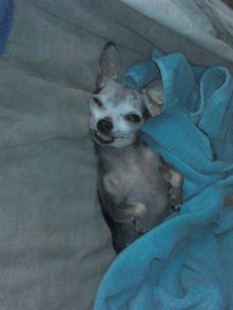 Debra Hebert - Photo 38