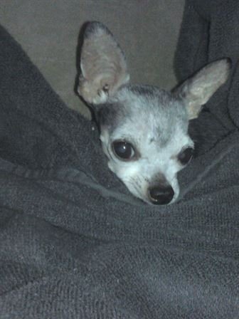 Debra Hebert - Photo 41