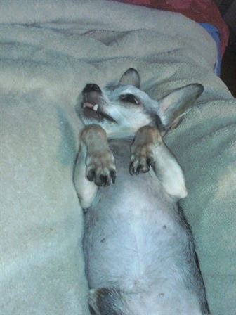 Debra Hebert - Photo 42