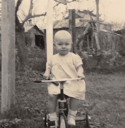 Debra Hebert - Photo 43