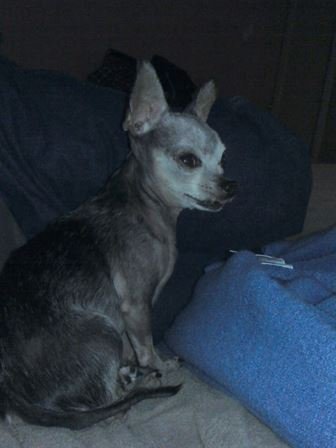 Debra Hebert - Photo 51