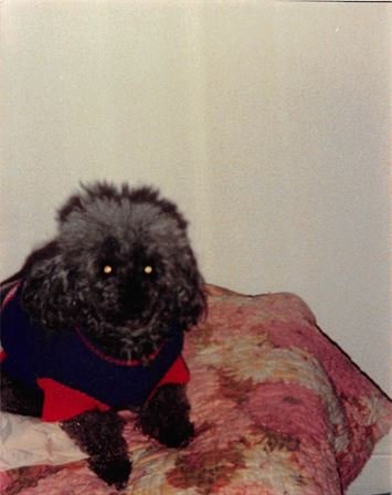 Debra Hebert - Photo 56